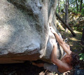 Jean-Herv� Baudot in Abriroc (Bois des Hauts de Milly) - serie of 2 pictures 