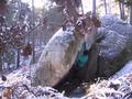 Fabien Brones in La Mouche (Cuisini�re Cr�te Sud)