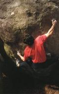 Olivier Carri�re in T-Rex (Cuvier Rempart)