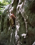 Christophe lek in La Chemin�e de la Loco (La Pad�le) - serie of 3 pictures 