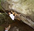 Cochot in Ussy t�t Fait (Mont Ussy)