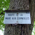  [ La Mare aux Corneilles ] 