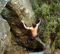 Daniel Warren in La Dent Fer assis (Bois Rond) - serie of 2 pictures 