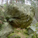  [ Parc National � Fontainebleau ] 