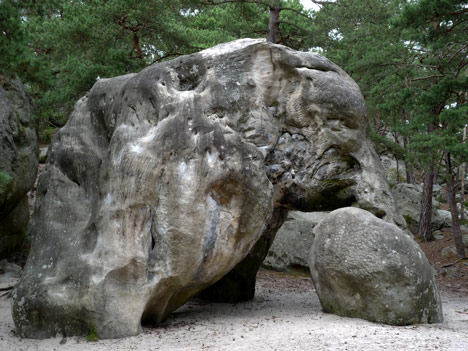 Bouldering Fontainebleau