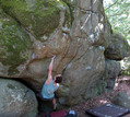 Fabien Marchand in Kudzu (Cuvier) - serie of 2 pictures 