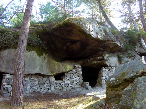  Gorges du Houx Oiseaux de Proie 