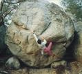 Fran�ois Rigaudeau in Big Golden (Cuvier Rempart)