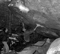 G�rald Coste in Coup de Patte (Mare aux Joncs) - serie of 3 pictures 