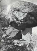 Didier G�rardin in Trois Hommes et un Coup Fin (Cuisini�re Cr�te Sud)
