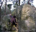 Gilles Cottray in L'Avide Dante (Coquibus Auvergne)