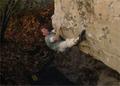 Jacky Godoffe in Hurlement (Gros Sablons)
