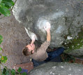 Gr�goire Dopke in Coton Tige (Cuvier)