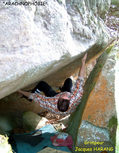 Jacques Harang in Arachnophobie (Beauvais Est)