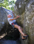 Michel Libert in Faux Ligament (Cuvier) - serie of 4 pictures 
