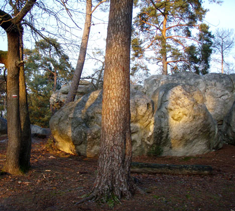  Mont d'Olivet 
