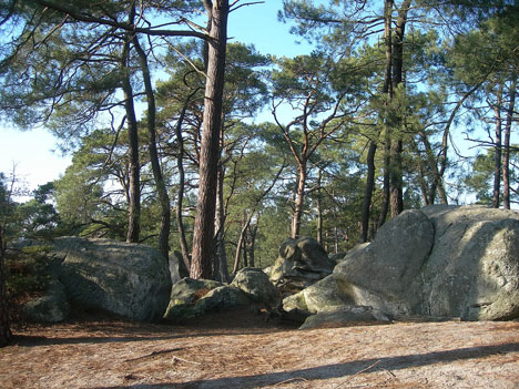  Mont Simonet 