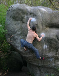 Nicola Anzoni in La Balance (Cuvier)