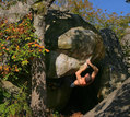 Nicola Anzoni in Neverland (Cuvier)