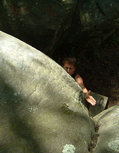 Pascal Lhomme in Spider End (Franchard Isatis) - serie of 3 pictures 