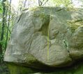 Anthony Petitprez in Le Doigt Carr� (Petit Bois)