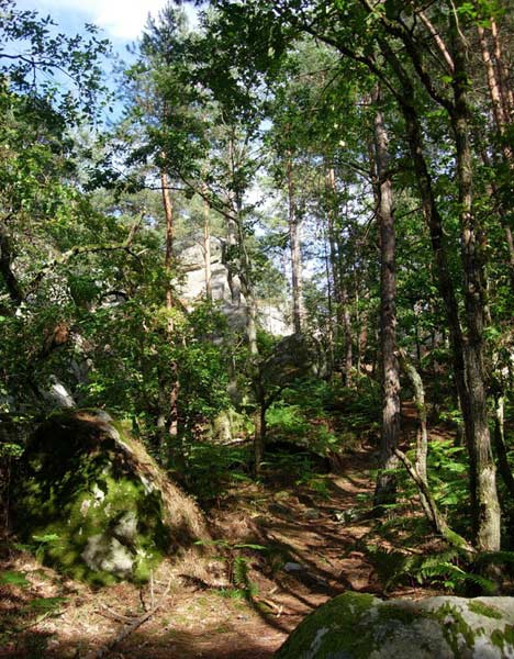  Restant du Long Rocher Ouest 