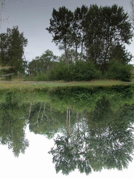  Mare aux Joncs 