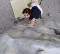 Ronan Charpentier in Carie Dentaire (Roche aux Sabots) - serie of 2 pictures 