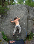 Ross Harris in Les Jumelles droite (Diplodocus)