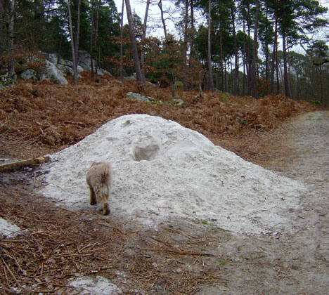  [ Le tas de sable ] 
