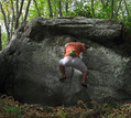 S�bastien Papillon in �pines aux Mains (Chamarande) - serie of 3 pictures 