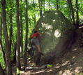 S�bastien Papillon in La Photocopieuse (Dampierre Maincourt) - serie of 4 pictures 