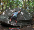 S�bastien Papillon in Le Mur du Chemin (Dampierre Maincourt)