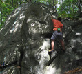 S�bastien Papillon in La Fissure de la Dame de Compagnie (Dampierre Maincourt) - serie of 2 pictures 