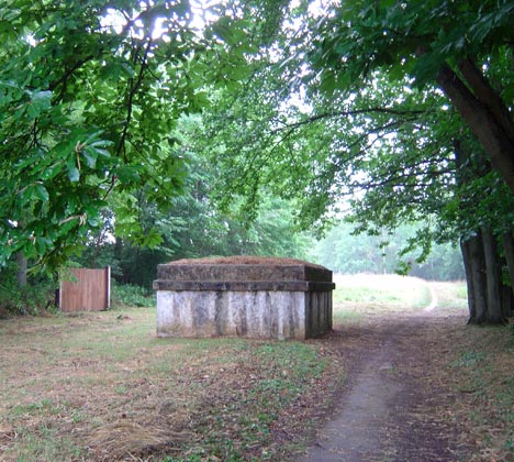  Bois de la Valette 