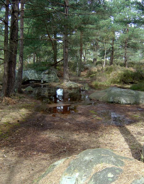 Apremont Vallon de Sully