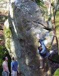 Yano Sala�n in Pirouette Cacaouette (Mare aux Corneilles) - serie of 7 pictures 